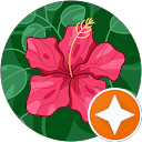 Erika Covarrubias profile picture